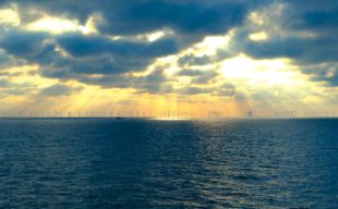 Offshore windfarm