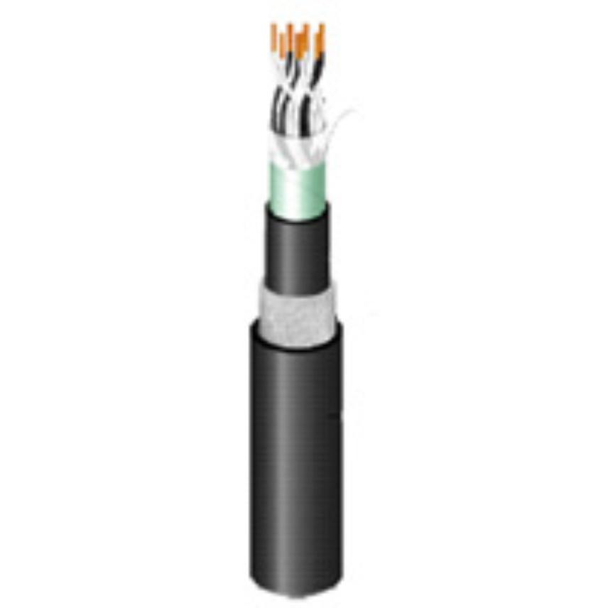 RE-2Y(St)YSWAY - fl EG Armé LSLH