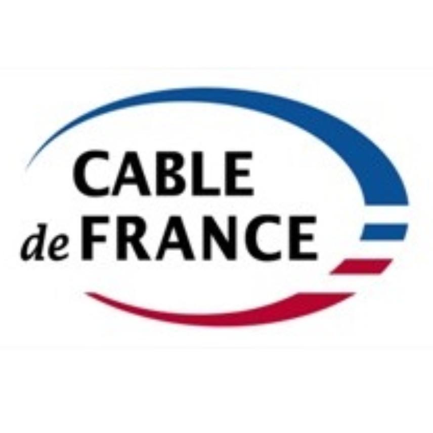 Câble VIP IN&OUT Eca pour Vidéo IP