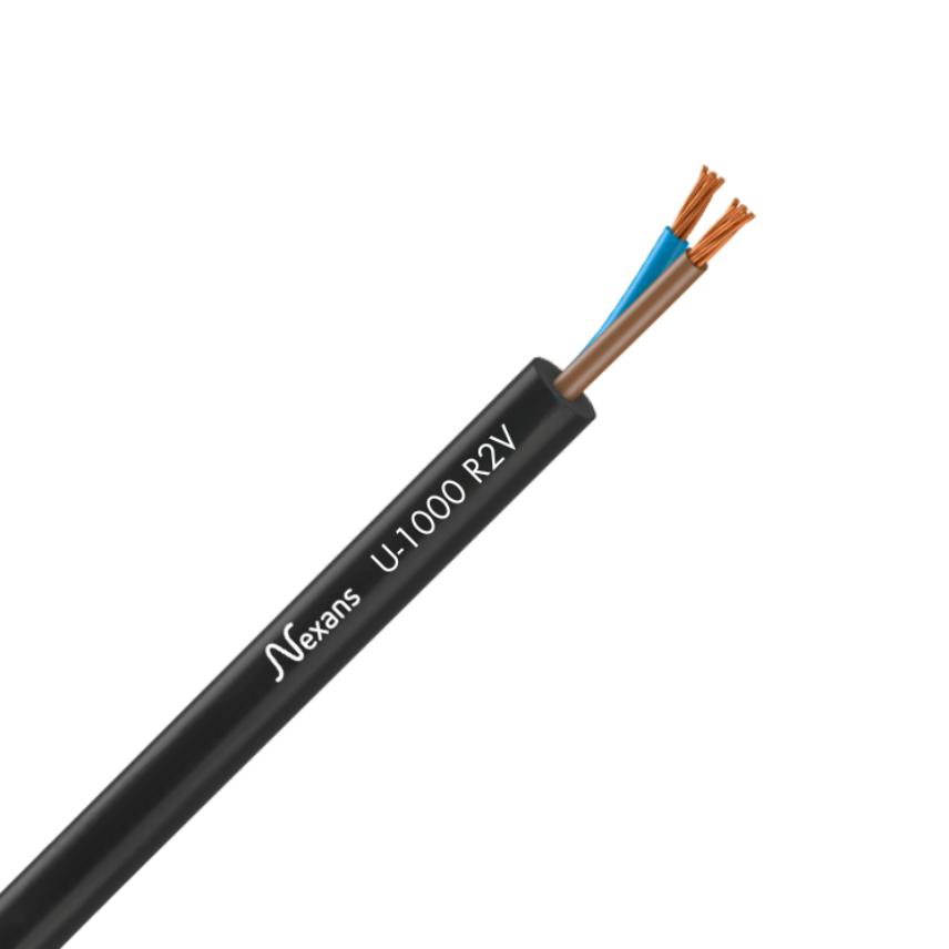 U-1000 R2V 2X25 D100m